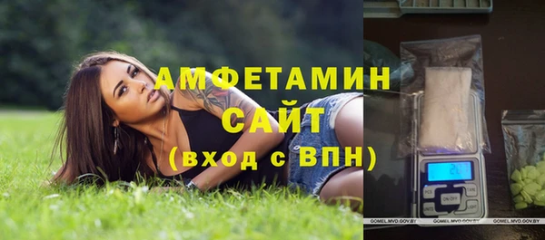 шишки Абаза