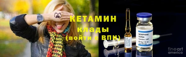 шишки Абаза