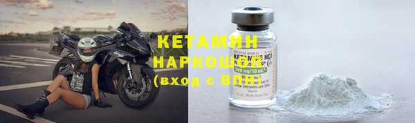 шишки Абаза