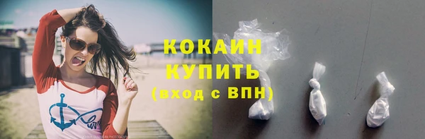 шишки Абаза