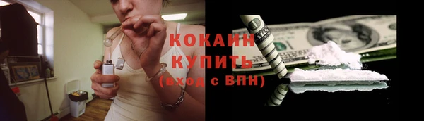 шишки Абаза