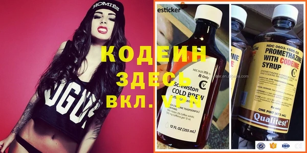 шишки Абаза