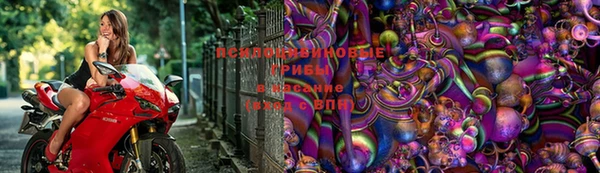 амф Абдулино