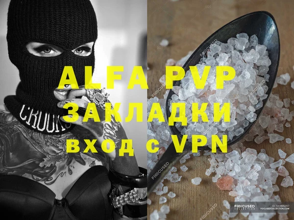 шишки Абаза