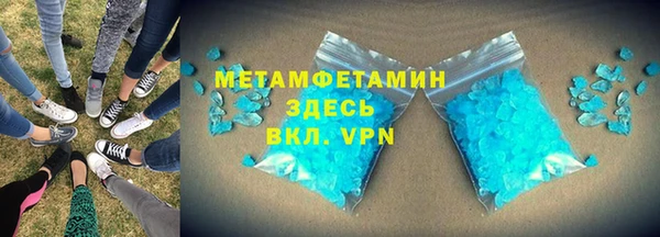 шишки Абаза
