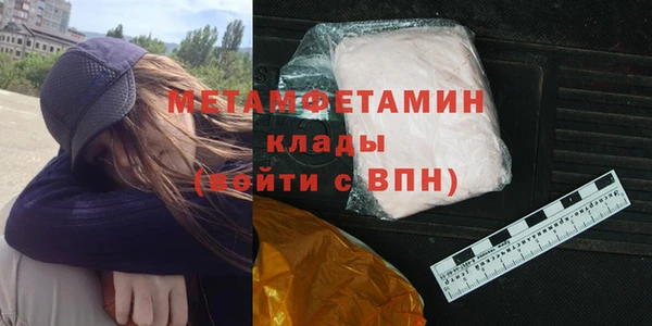 шишки Абаза
