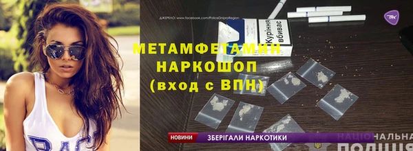 шишки Абаза