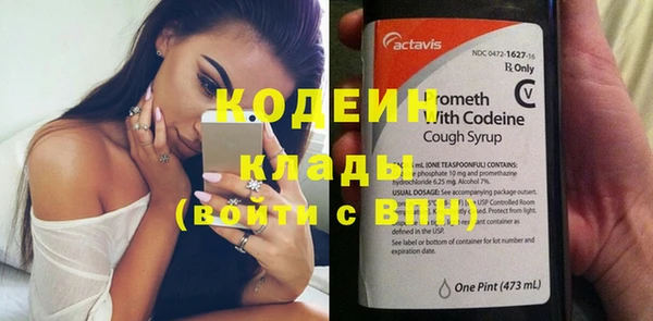 шишки Абаза