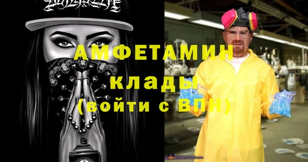 шишки Абаза
